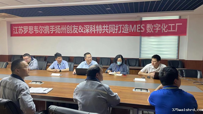 伟德国际betvicror下载MES助力罗思韦尔数字化工厂转型