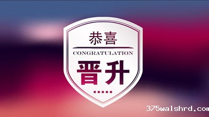 伟德国际betvicror下载公司开展内部岗位竞聘活动